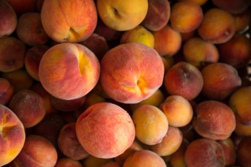зараженные плодожоркой узбекские персики